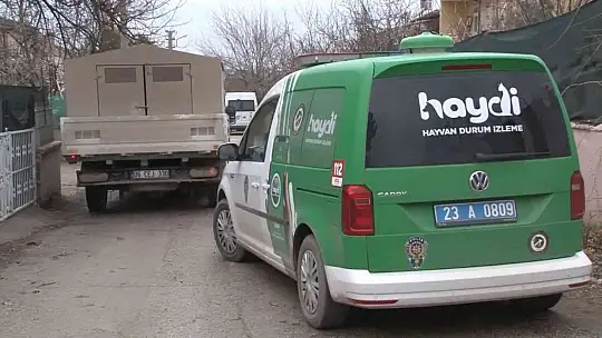 Çocuk parkında pitbull gezdiriyordu
