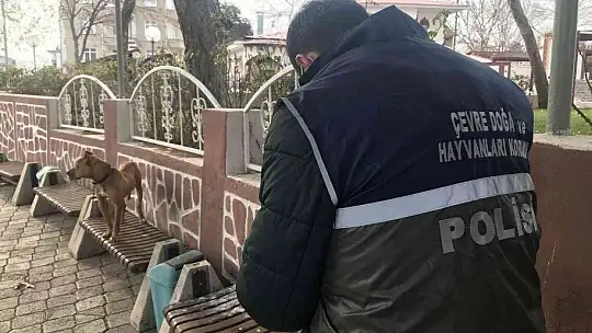 Çocuk parkında pitbull gezdiriyordu