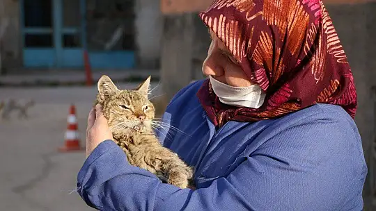 Çocukları vefat eden Fatma teyze, 35 kediye anne şefkatiyle bakıyor