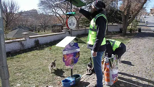Cumhurbaşkanı Erdoğan işaret etti, Elazığ Belediyesi hemen yerine getirdi