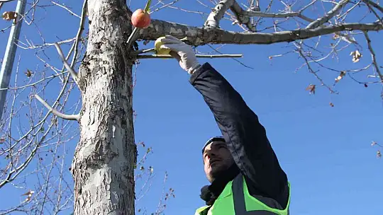 Cumhurbaşkanı Erdoğan işaret etti, Elazığ Belediyesi hemen yerine getirdi
