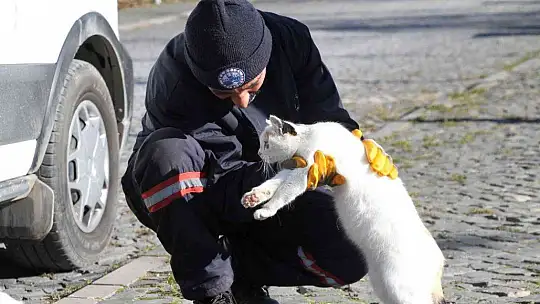 Cumhurbaşkanı Erdoğan işaret etti, Elazığ Belediyesi hemen yerine getirdi