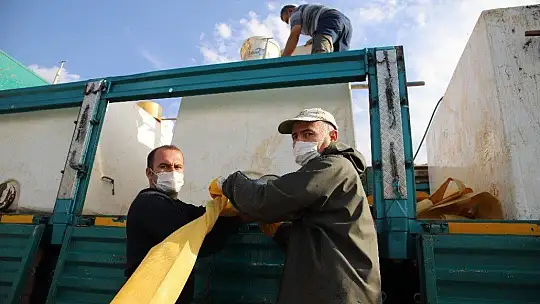 Cumhuriyet'in 97. yılı anısına Keban Barajı'na 970 bin adet balık yavrusu bırakıldı