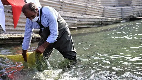 Cumhuriyet'in 97. yılı anısına Keban Barajı'na 970 bin adet balık yavrusu bırakıldı