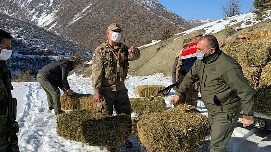 Dağ Keçilerinin Görüldüğü Yerlere Jandarmadan Yem Desteği