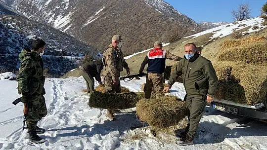 Dağ Keçilerinin Görüldüğü Yerlere Jandarmadan Yem Desteği