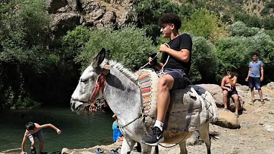 Dağın zirvesinde yüzen çocuklar, profesyonellere taş çıkarıyor