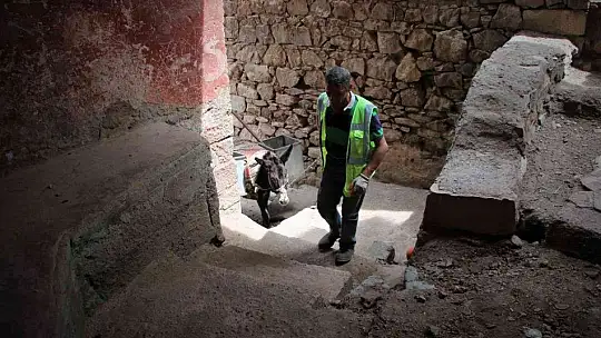 Dar sokaklardaki çöpler 'Kadrolu eşeklere' emanet