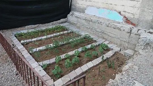 Depremde hasar alıp yıkılan binanın yeri bahçe oldu