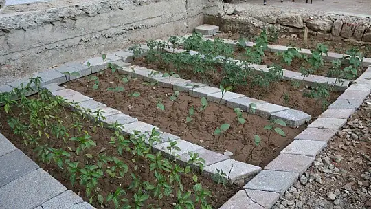 Depremde hasar alıp yıkılan binanın yeri bahçe oldu