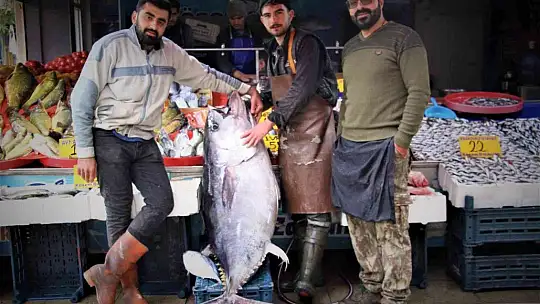 Dev orkinos görenleri hayretler içinde bıraktı