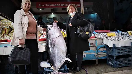 Dev orkinos görenleri hayretler içinde bıraktı