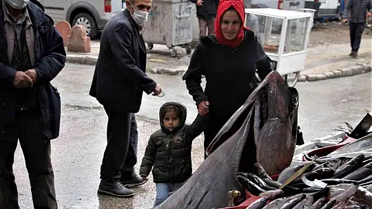 Dev orkinos görenleri hayretler içinde bıraktı