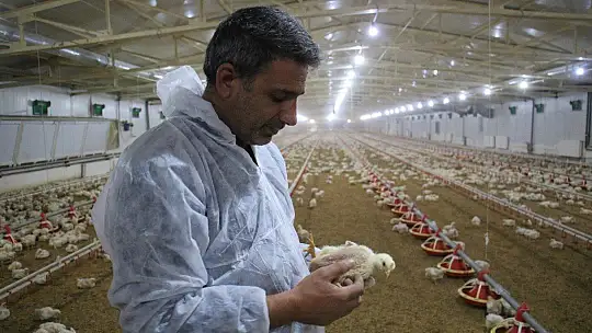 Devlet desteği ile çiftlik kurdu, yılda 300 bin TL kazanmaya başladı