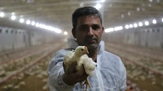 Devlet desteği ile çiftlik kurdu, yılda 300 bin TL kazanmaya başladı