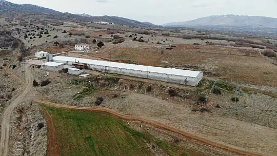 Devlet desteği ile çiftlik kurdu, yılda 300 bin TL kazanmaya başladı