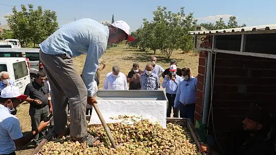 Devlet desteğiyle 45 dekara badem ekti, ilk hasada başladı