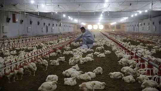 Devletten Aldığı Destekle Çiftlik Sahibi Oldu