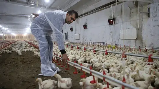 Devletten Aldığı Destekle Çiftlik Sahibi Oldu