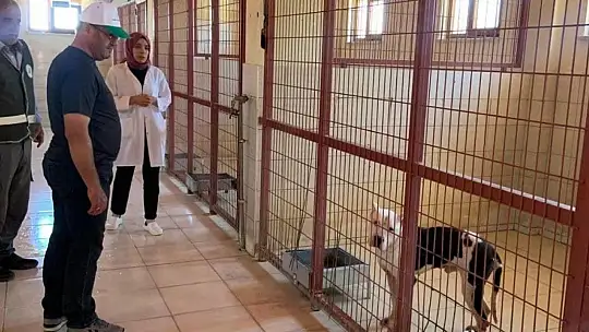 DKMP'den hayvan bakımevinde hijyen denetimi