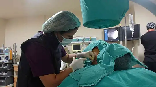 Doç. Dr. Özcan, 'Algoloji bölümüne başvuran hastaların yüzde 80'i bel fıtığı hastalarıdır'
