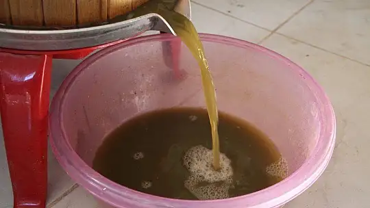 Doğal antioksidan 'Koruk Suyu'