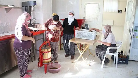 Doğal antioksidan 'Koruk Suyu'