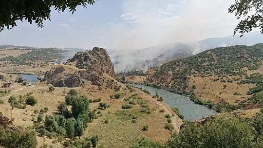 Doğu Anadolu Bölgesi'nde 246 hektar alan yandı