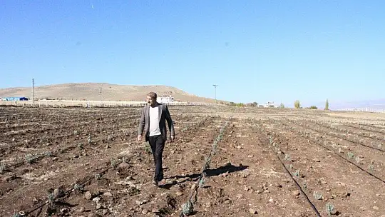 Doğu Anadolu Bölgesi'nin en büyük lavanta bahçesi Elazığ'da kuruldu