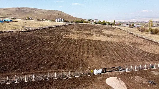 Doğu Anadolu Bölgesi'nin en büyük lavanta bahçesi Elazığ'da kuruldu