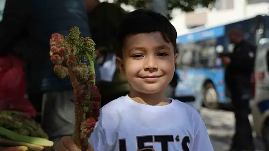 Doğu'nun muzu 'ışkın' tezgahlarda yerini aldı
