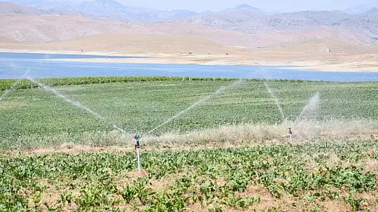 DSİ Genel Müdürü Yıldız,' 'Elazığ'da 185 bin 900 dekar tarım arazisi sulanacak'