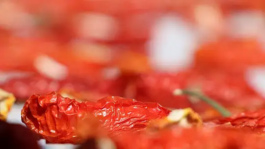 Dünya sofralarına lezzet katacak kurutmalık domatesin hasadı başladı