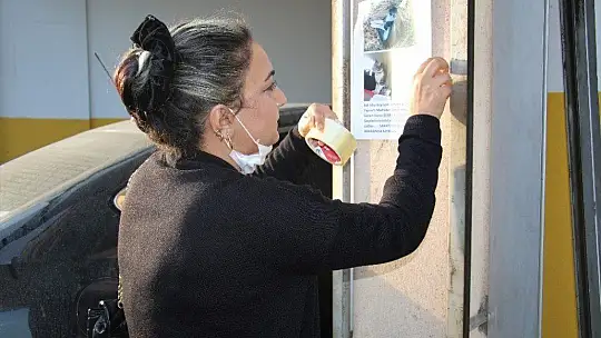 Kayıp Kedisini Sokak Sokak Arıyor