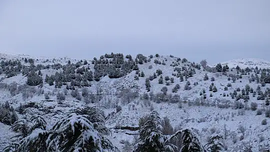 Elazığ'a mevsimin ilk karı yağdı, Harput'ta kartpostallık görüntüler oluştu