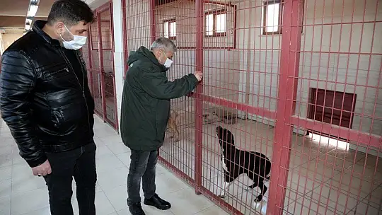 Elazığ Belediyesi Hayvan Bakım Evi ziyarete açılıyor