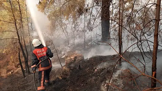 Elazığ Belediyesi itfaiye ekipleri, Manavgat'ta