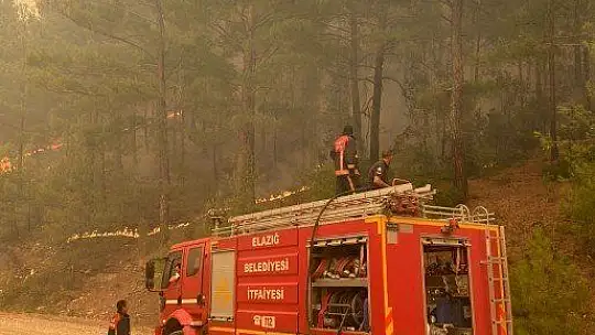 Elazığ Belediyesi itfaiye ekipleri, Manavgat'ta
