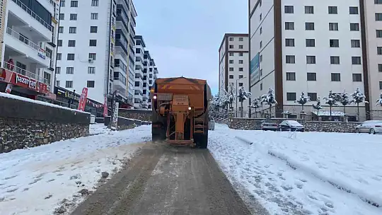 Elazığ Belediyesi'nin karla mücadele çalışmaları sürüyor