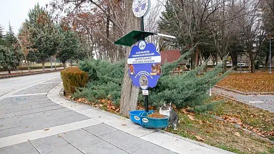 Can Dostlarımız Aç ve Susuz Kalmasın