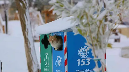 Harput'ta kartpostallık görüntüler