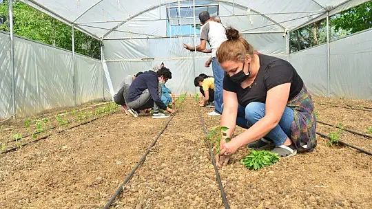 Elazığ'da 'Ağacımla büyüyorum, kendi seramda üretiyorum' projesi