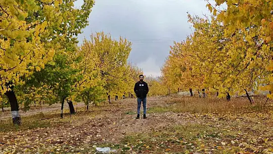 Elazığ'da 'altın yaprakların' sonbahar güzelliği