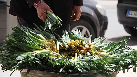 Elazığ'da 'Çiriş' ve 'Kenger' otu, tezgahlardaki yerini aldı