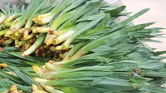 Elazığ'da 'Çiriş' ve 'Kenger' otu, tezgahlardaki yerini aldı