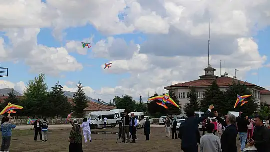 Elazığ'da 'Engelsiz Uçurtma Şenliği' renkli görüntülere sahne oldu