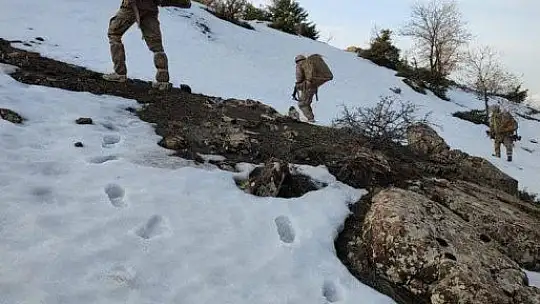 Elazığ'da 'Eren Kış-26 Şehit Jandarma Yarbay Alim Yılmaz' Operasyonu başlatıldı