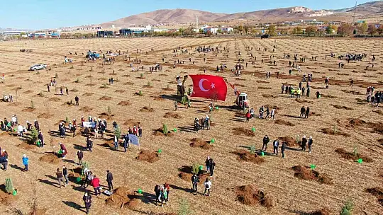 Elazığ'da 'Geleceğe Nefes Dünyaya Nefes' etkinliğinde 23 bin fidan toprakla buluştu