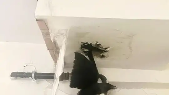 Elazığ'da 'Karga kurtarma operasyonu'