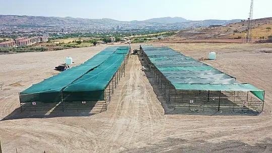 Elazığ'da kurban telaşı